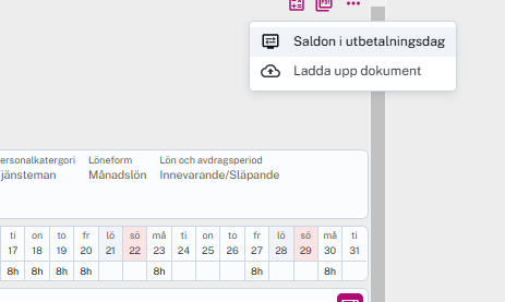 Saldo i utbetalningsdag val