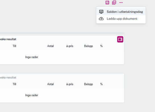 Saldo i utbetalningsdag